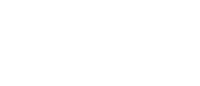 The Travel Shop